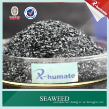 100% Water Soluble Seaweed Extract for Irrigation Fertilizer